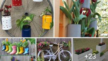 decor ideas for your garden 