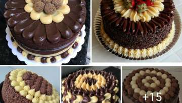 delicious chocolate cakes 