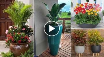 46 Easy Colorful Container Garden Ideas | diy garden