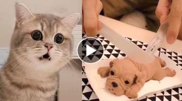 Cat Reaction to Cutting Cake - Funny Dog Cake Reaction Compilation | Pets Kingdom