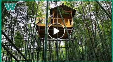 The young man made a beautiful wooden house on bamboo trees with his own hands | workers HD