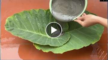 DIY Coffee Table .How To Make A Coffee Table And Pots From Leaves And Cement (Beautiful And Easy ...