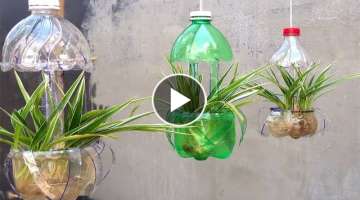 Modern Ideas to Recycle plastic bottle for Garden Decorating | garden ideas